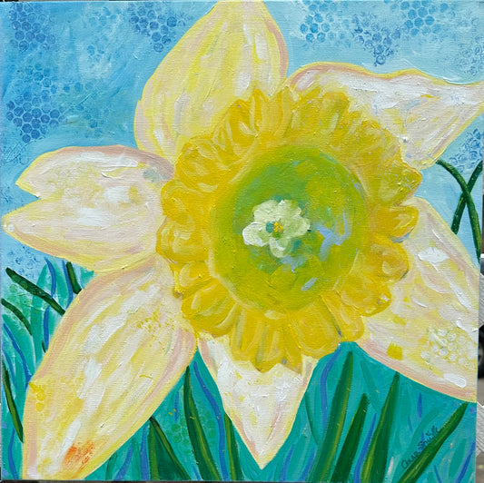 Daffodil Bloom
